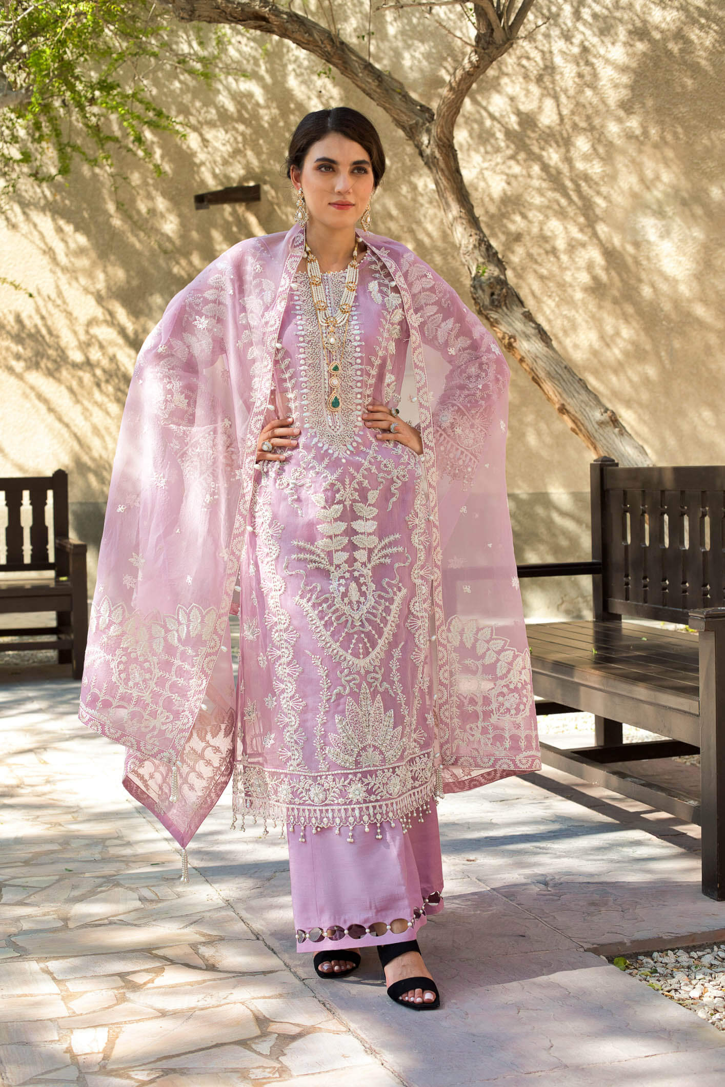 Lavender Hues